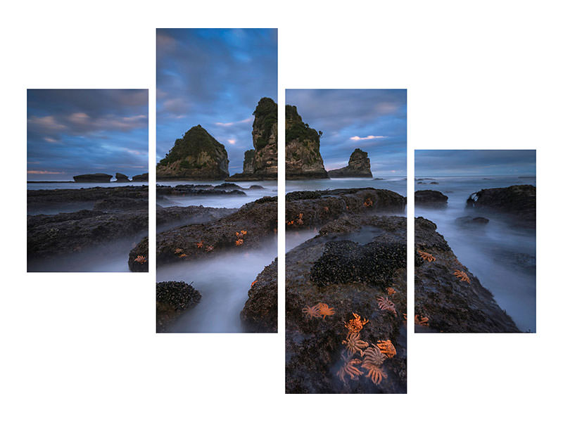 modern-4-piece-canvas-print-starfish