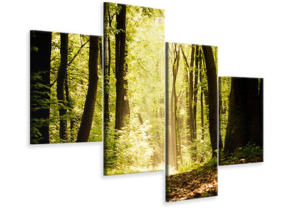 modern-4-piece-canvas-print-sunrise-in-the-forest