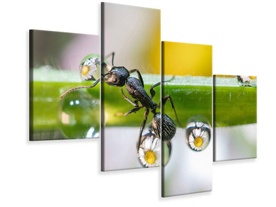 modern-4-piece-canvas-print-the-ant-between-the-drops