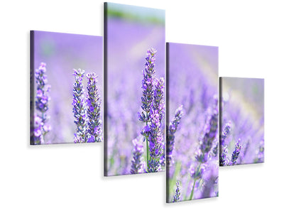 modern-4-piece-canvas-print-the-lavender-blossom