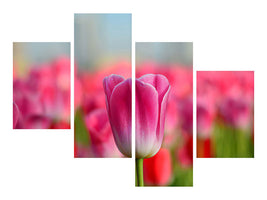 modern-4-piece-canvas-print-tulip-field-in-pink-red