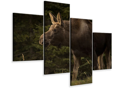 modern-4-piece-canvas-print-young-moose-on-the-loose