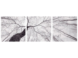 panoramic-3-piece-canvas-print-a-view-of-the-tree-crown