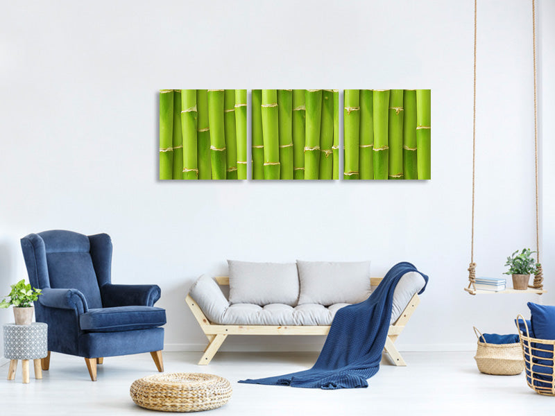 panoramic-3-piece-canvas-print-bamboo-wall