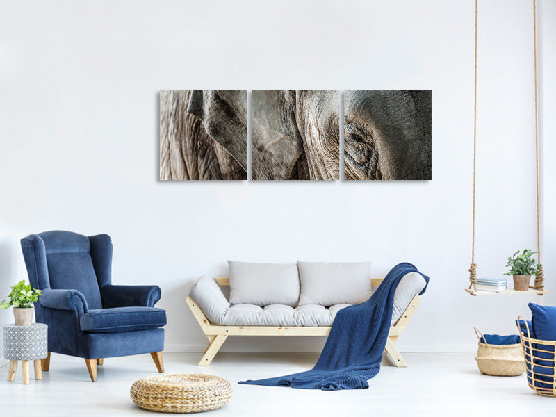 panoramic-3-piece-canvas-print-close-up-elephant