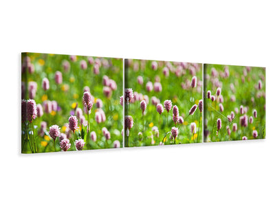 panoramic-3-piece-canvas-print-clover