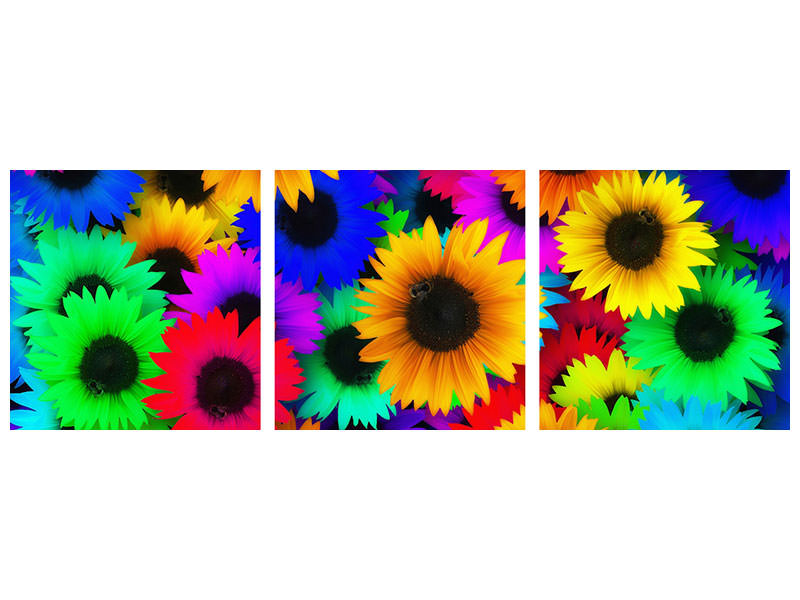 panoramic-3-piece-canvas-print-colorful-sunflowers