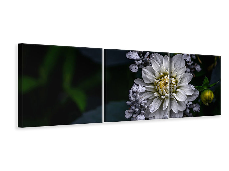 panoramic-3-piece-canvas-print-dahlia-flower
