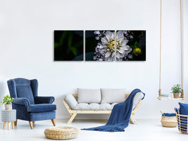 panoramic-3-piece-canvas-print-dahlia-flower