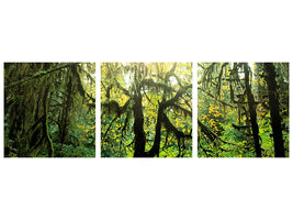 panoramic-3-piece-canvas-print-dreamy-forest