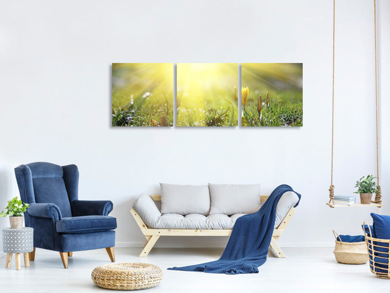 panoramic-3-piece-canvas-print-flowery-meadow