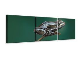 panoramic-3-piece-canvas-print-frog