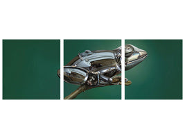 panoramic-3-piece-canvas-print-frog