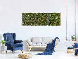 panoramic-3-piece-canvas-print-green-ivy-leaves-wall