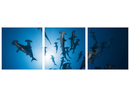 panoramic-3-piece-canvas-print-hammerhead-shark-underwater-photography