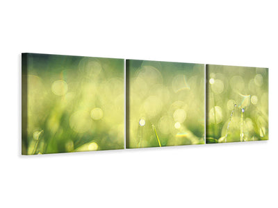 panoramic-3-piece-canvas-print-in-the-meadow