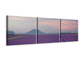 panoramic-3-piece-canvas-print-lavender-field