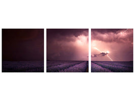 panoramic-3-piece-canvas-print-lavender-fragrance