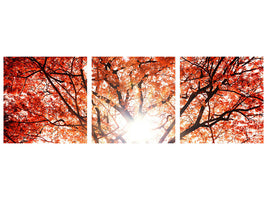 panoramic-3-piece-canvas-print-light-of-autumn