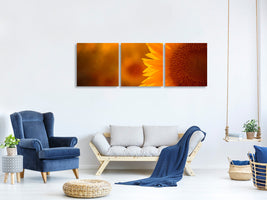 panoramic-3-piece-canvas-print-macro-sunflower