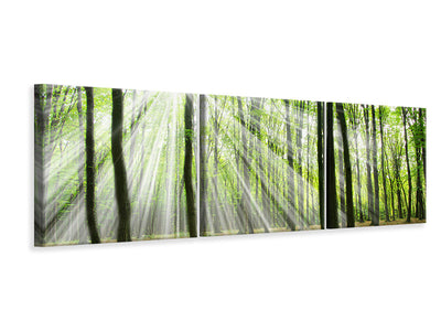 panoramic-3-piece-canvas-print-magic-light-in-the-trees