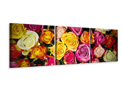 panoramic-3-piece-canvas-print-many-colorful-rose-petals
