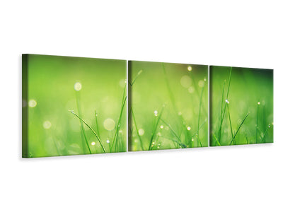 panoramic-3-piece-canvas-print-meadow-with-morning-dew