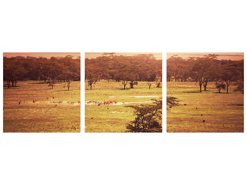 panoramic-3-piece-canvas-print-picturesque-africa