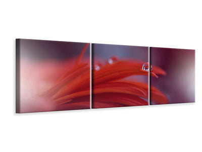 panoramic-3-piece-canvas-print-red-passion