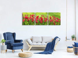 panoramic-3-piece-canvas-print-red-tulip-field-in-the-sunlight