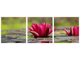 panoramic-3-piece-canvas-print-red-water-lily-duo