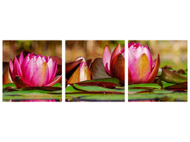 panoramic-3-piece-canvas-print-red-water-lily-trio
