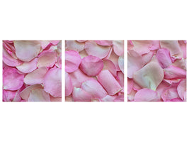 panoramic-3-piece-canvas-print-rose-petals-in-pink-ii