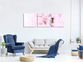 panoramic-3-piece-canvas-print-sakura