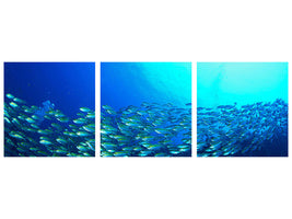 panoramic-3-piece-canvas-print-shoal-of-fish