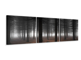 panoramic-3-piece-canvas-print-silence-ii