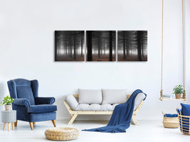 panoramic-3-piece-canvas-print-silence-ii