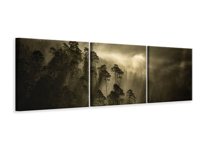 panoramic-3-piece-canvas-print-streiflichter