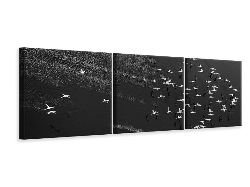 panoramic-3-piece-canvas-print-take-off