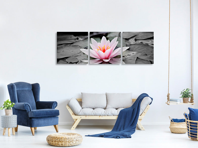 panoramic-3-piece-canvas-print-the-art-of-water-lily