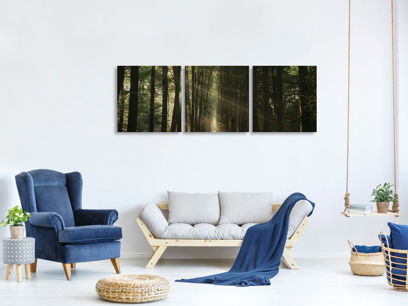 panoramic-3-piece-canvas-print-the-essential