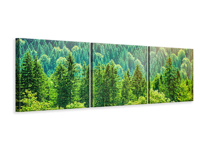panoramic-3-piece-canvas-print-the-forest-hill