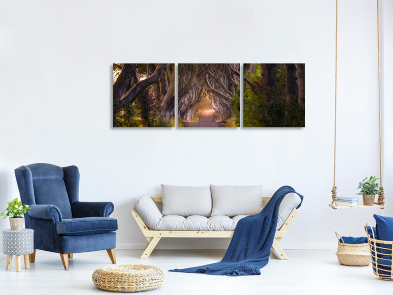 panoramic-3-piece-canvas-print-the-glowing-hedges