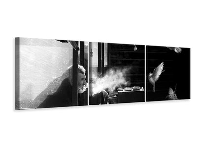panoramic-3-piece-canvas-print-the-man-of-pigeons