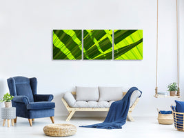 panoramic-3-piece-canvas-print-the-palm-leaf-in-xl