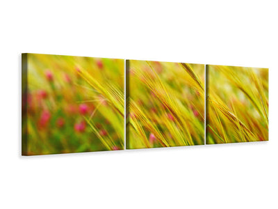 panoramic-3-piece-canvas-print-the-wheat-field