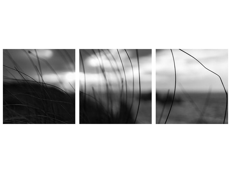 panoramic-3-piece-canvas-print-the-wind-brings-the-night