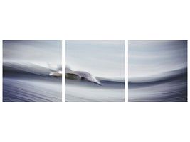 panoramic-3-piece-canvas-print-untitled-iv