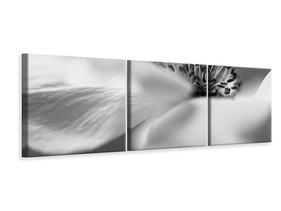 panoramic-3-piece-canvas-print-untitled-xv