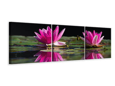 panoramic-3-piece-canvas-print-water-lilies-duo-in-pink